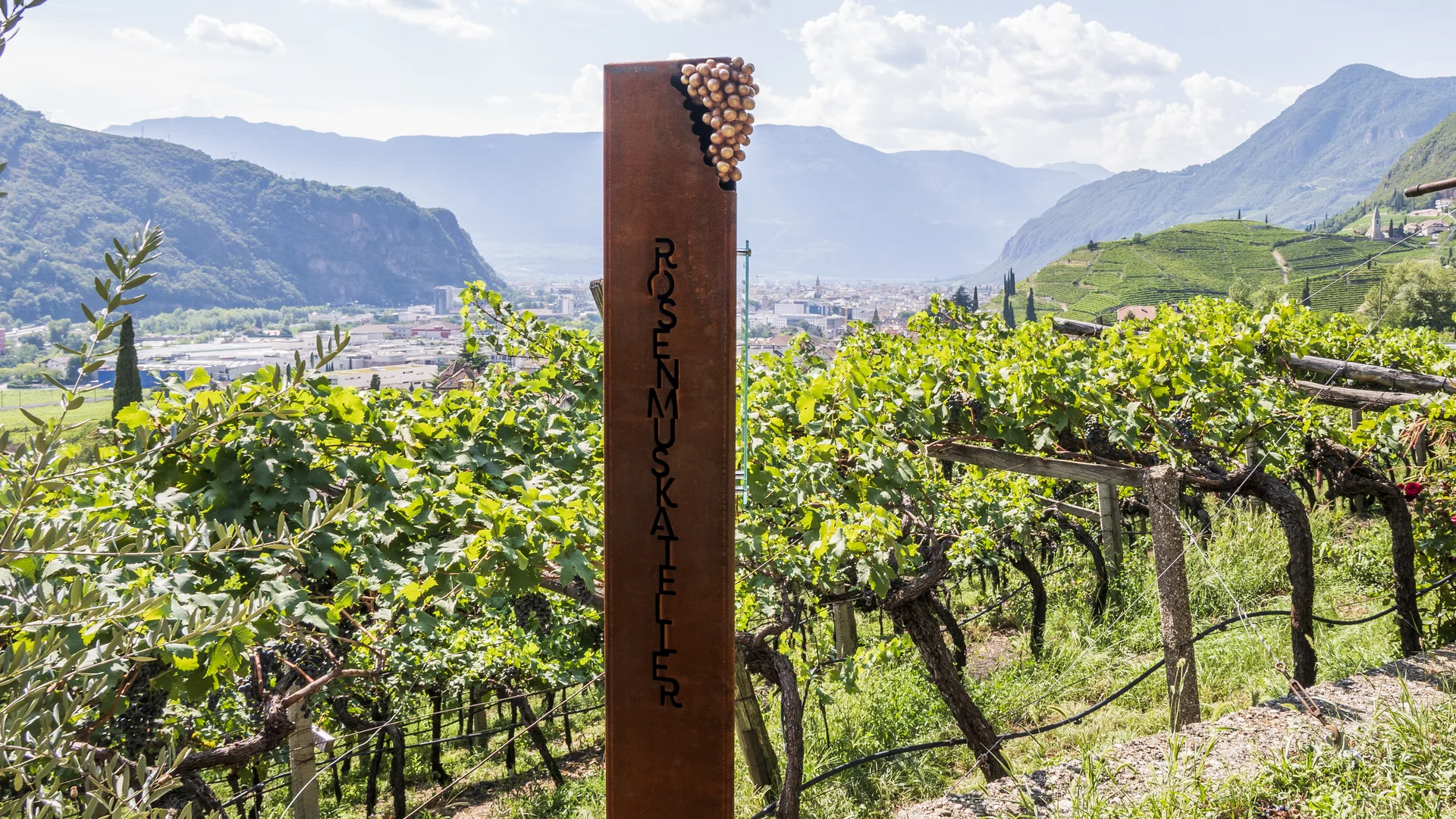 Bilder vom Armonia: Hof am Ritten in Südtirol Schild mit der Aufschrift Rosenmuskateller zwischen Weinreben vor Bergpanorama