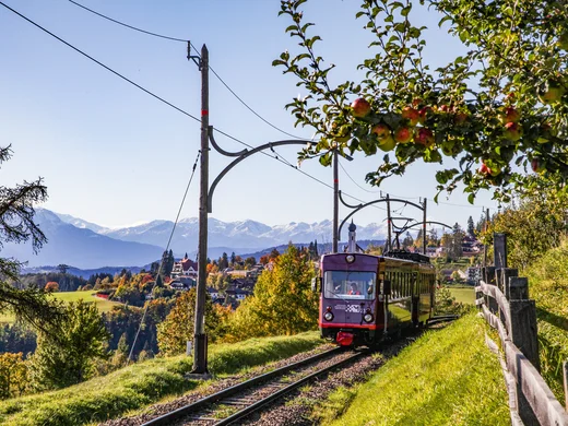 Urlaub am Ritten: die Insider-Tipps des Armonia Eine Straßenbahn fährt durch eine herbstliche Landschaft vor schneebedeckten Bergen