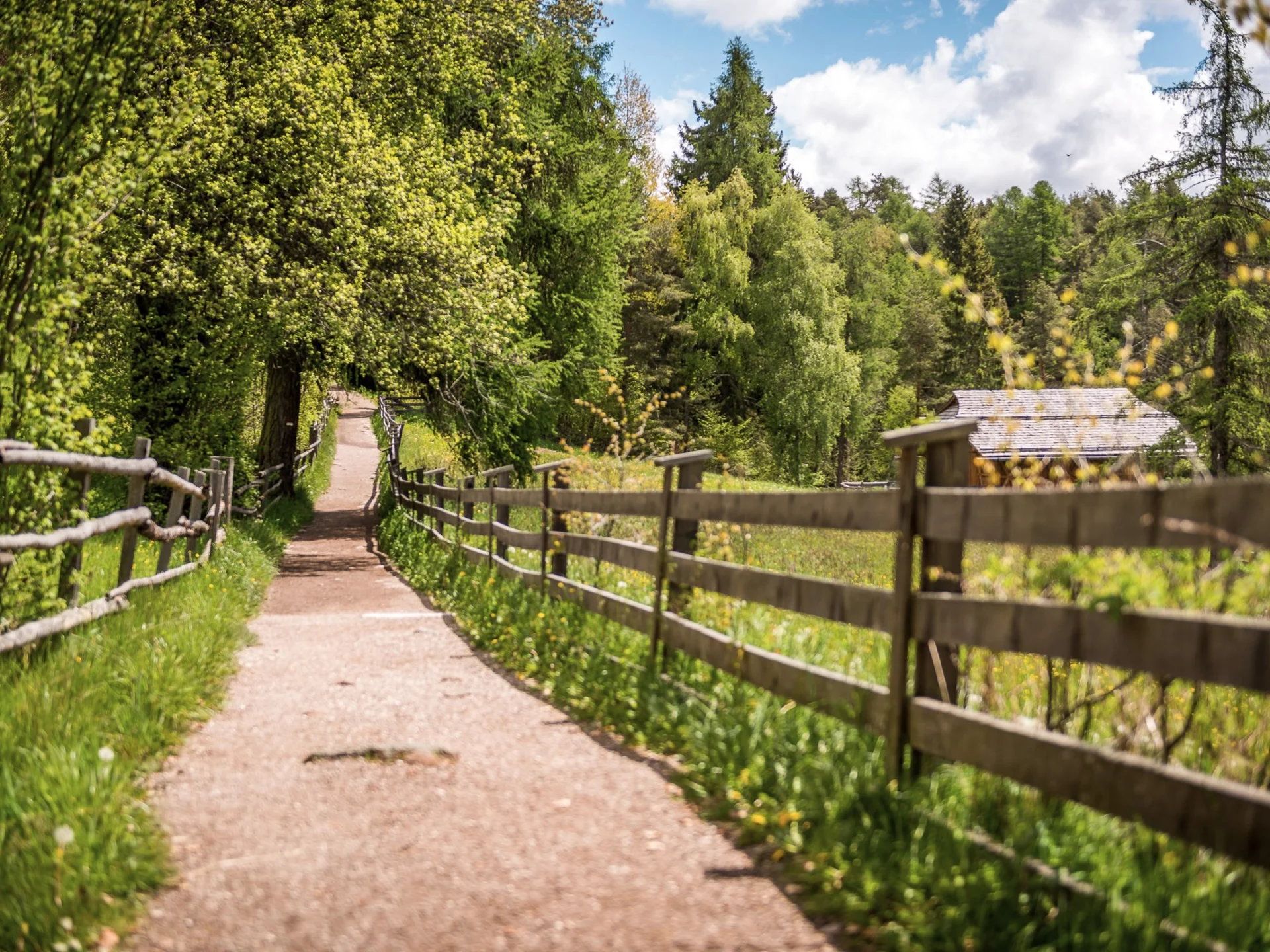 Urlaub am Ritten: die Insider-Tipps des Armonia Weg durch einen grünen Wald, gesäumt von Holzzäunen und einem kleinen Gebäude