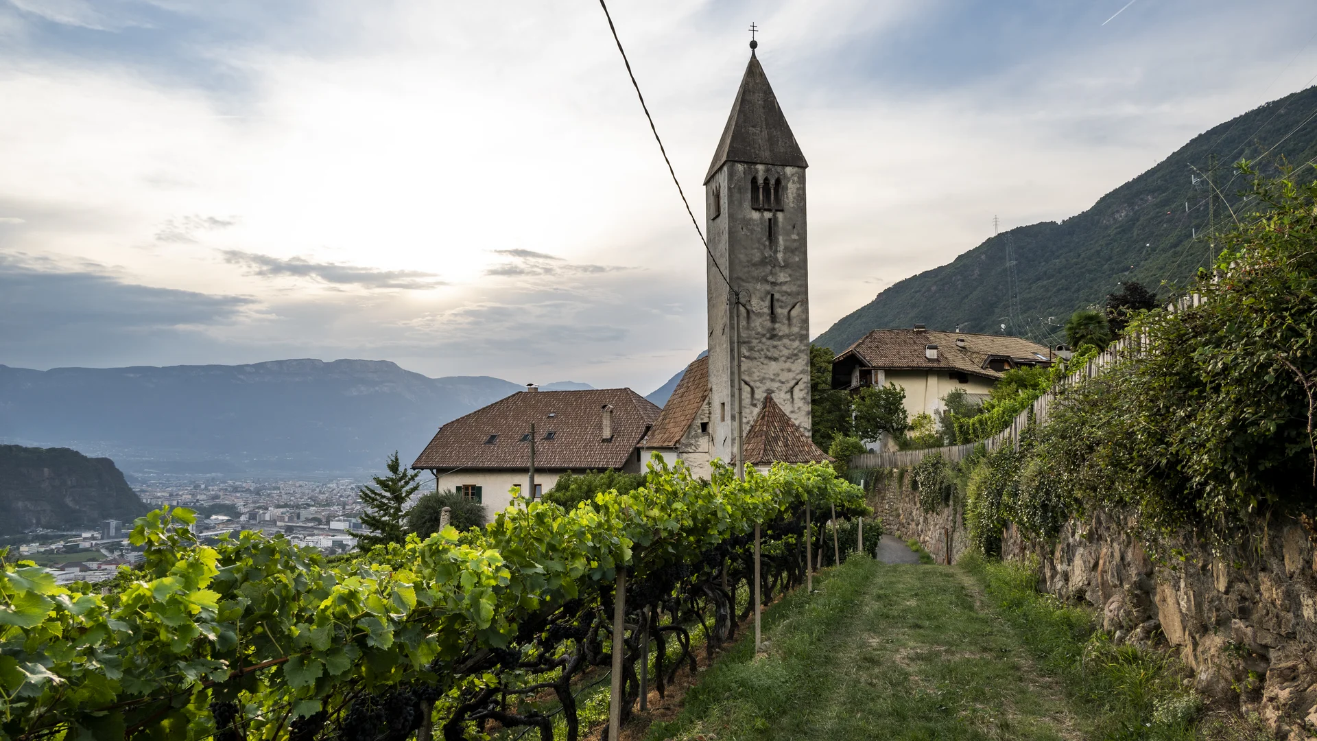 Bilder vom Armonia: Hof am Ritten in Südtirol Steinerner Kirchturm zwischen Weinbergen mit Blick auf ein Tal und bewaldete Berge
