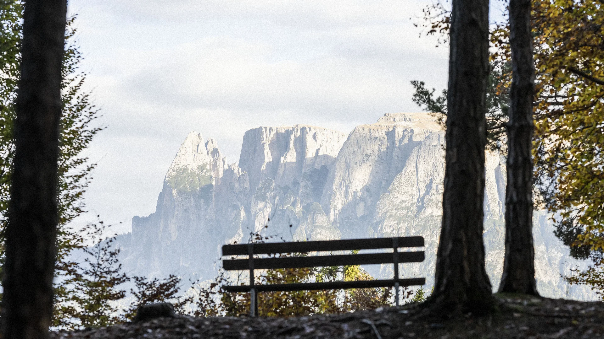 Bilder vom Armonia: Hof am Ritten in Südtirol Eine Bank zwischen Bäumen mit Blick auf helle Felswände