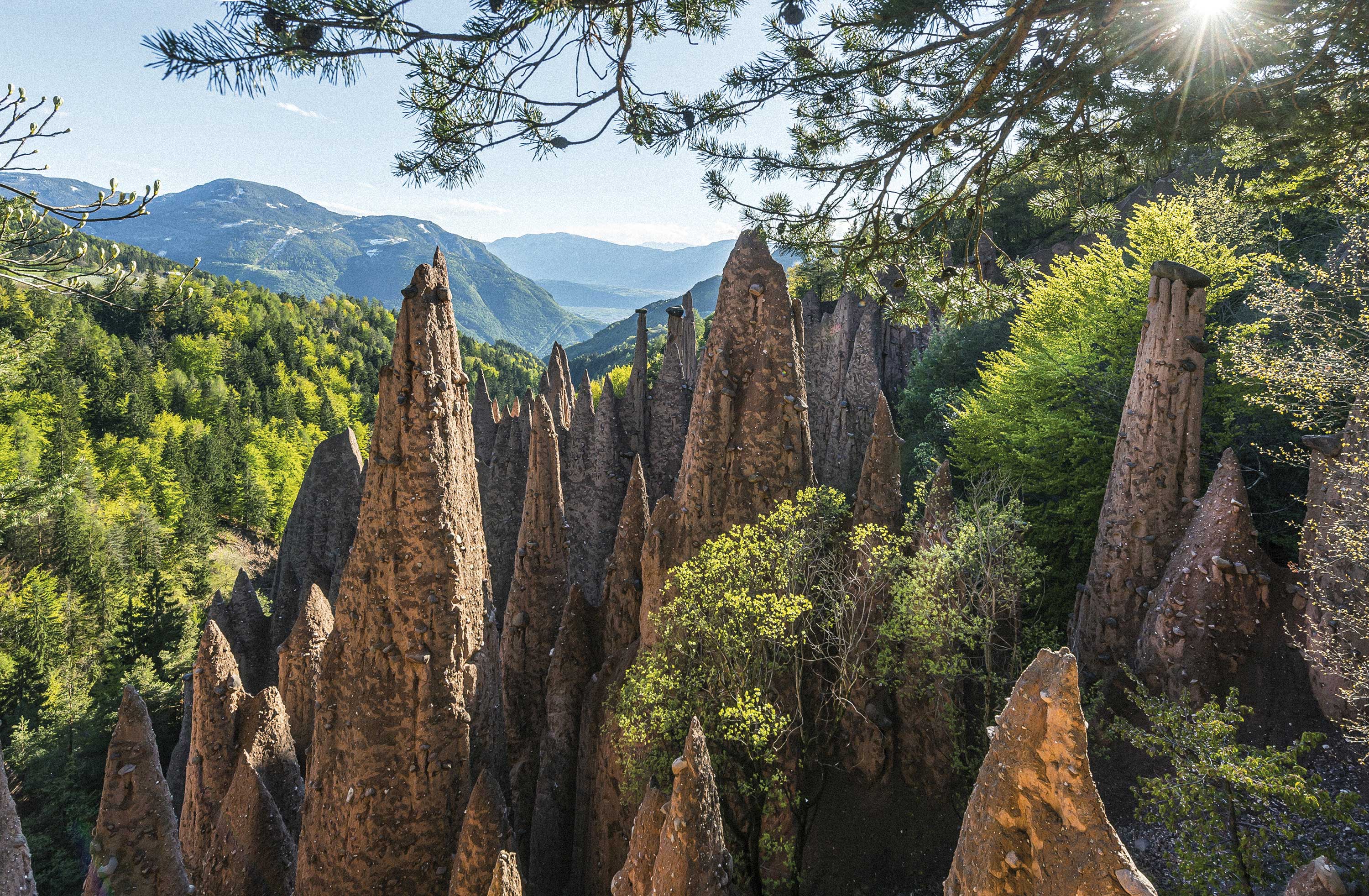 Earth pyramids rise from a forested mountain slope beneath pine branches and sunlight